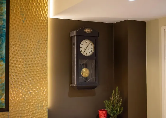 Carolina 2* بارنو